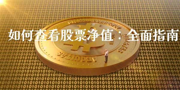 如何查看股票净值：全面指南_https://wap.yjjixie.cn_港股行情_第1张