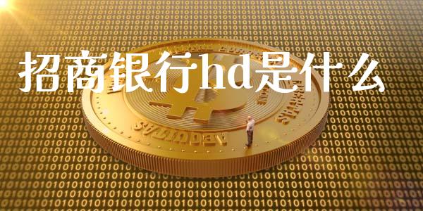 招商银行hd是什么_https://wap.yjjixie.cn_港股行情_第1张