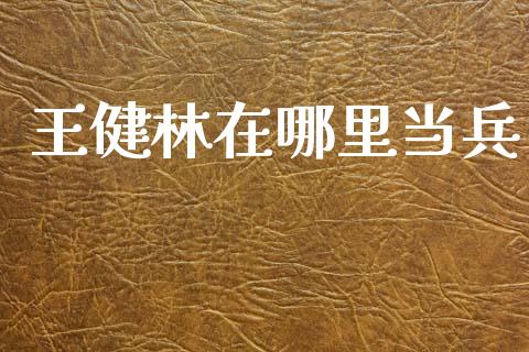 王健林在哪里当兵_https://wap.yjjixie.cn_港股行情_第1张
