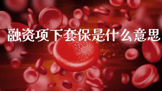 融资项下套保是什么意思_https://wap.yjjixie.cn_保险理财_第1张