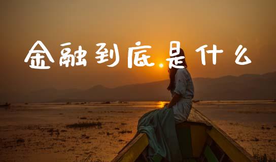 金融到底是什么_https://wap.yjjixie.cn_证券市场_第1张