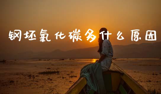 钢坯氧化碳多什么原因_https://wap.yjjixie.cn_证券市场_第1张