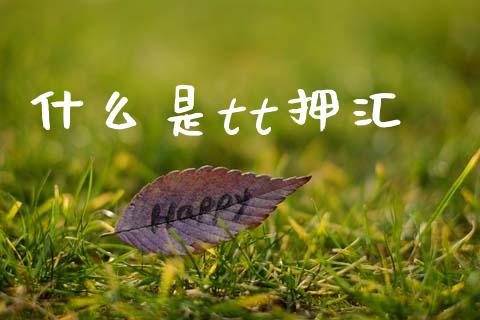 什么是tt押汇_https://wap.yjjixie.cn_港股行情_第1张