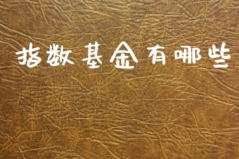 指数基金有哪些_https://wap.yjjixie.cn_保险理财_第1张