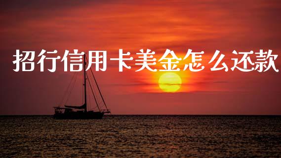 招行信用卡美金怎么还款_https://wap.yjjixie.cn_证券市场_第1张
