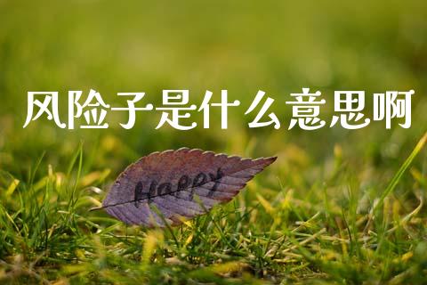 风险子是什么意思啊_https://wap.yjjixie.cn_商业资讯_第1张