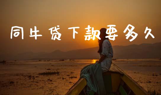 同牛贷下款要多久_https://wap.yjjixie.cn_保险理财_第1张