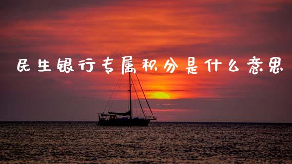 民生银行专属积分是什么意思_https://wap.yjjixie.cn_商业资讯_第1张