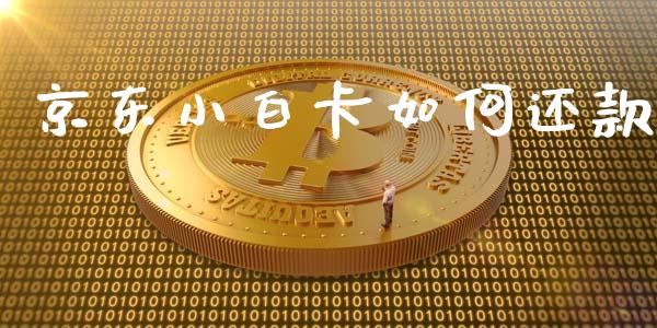 京东小白卡如何还款_https://wap.yjjixie.cn_商业资讯_第1张