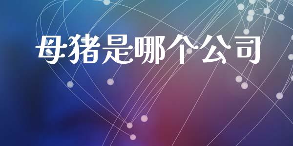母猪是哪个公司_https://wap.yjjixie.cn_保险理财_第1张