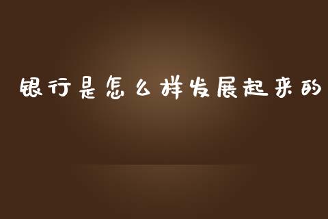 银行是怎么样发展起来的_https://wap.yjjixie.cn_港股行情_第1张