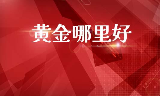 黄金哪里好_https://wap.yjjixie.cn_商业资讯_第1张