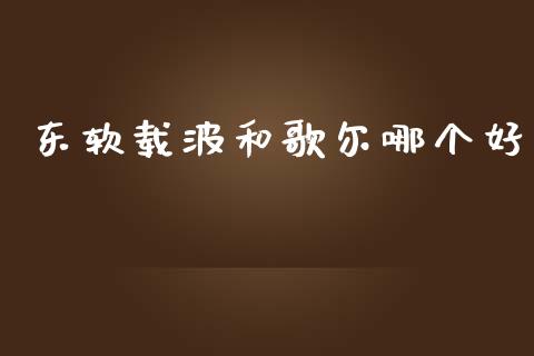 东软载波和歌尔哪个好_https://wap.yjjixie.cn_商业资讯_第1张