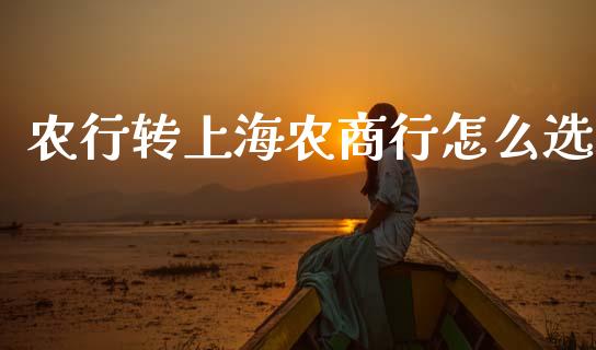 农行转上海农商行怎么选_https://wap.yjjixie.cn_港股行情_第1张