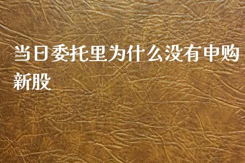 当日委托里为什么没有申购新股_https://wap.yjjixie.cn_证券市场_第1张