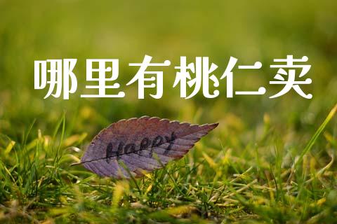 哪里有桃仁卖_https://wap.yjjixie.cn_证券市场_第1张