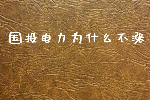 国投电力为什么不涨_https://wap.yjjixie.cn_保险理财_第1张