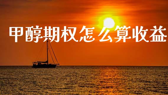 甲醇期权怎么算收益_https://wap.yjjixie.cn_证券市场_第1张