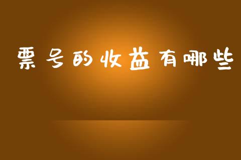 票号的收益有哪些_https://wap.yjjixie.cn_证券市场_第1张