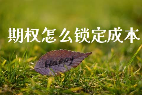 期权怎么锁定成本_https://wap.yjjixie.cn_港股行情_第1张