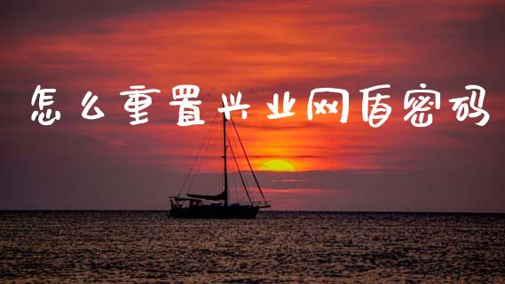 怎么重置兴业网盾密码_https://wap.yjjixie.cn_商业资讯_第1张