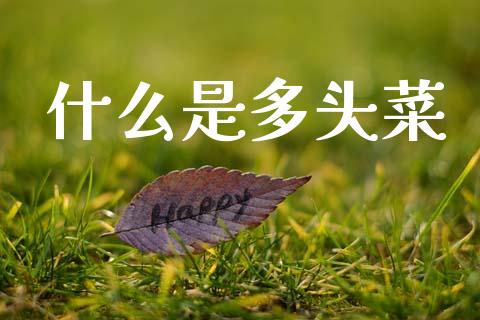 什么是多头菜_https://wap.yjjixie.cn_证券市场_第1张