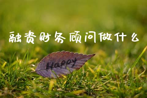 融资财务顾问做什么_https://wap.yjjixie.cn_商业资讯_第1张