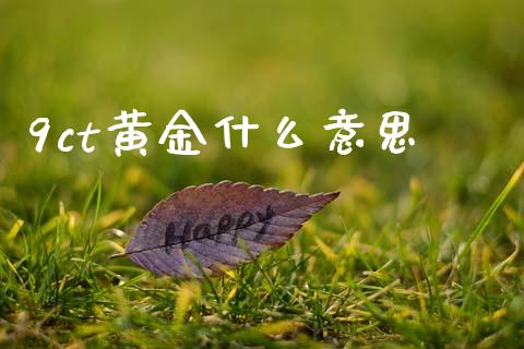 9ct黄金什么意思_https://wap.yjjixie.cn_保险理财_第1张