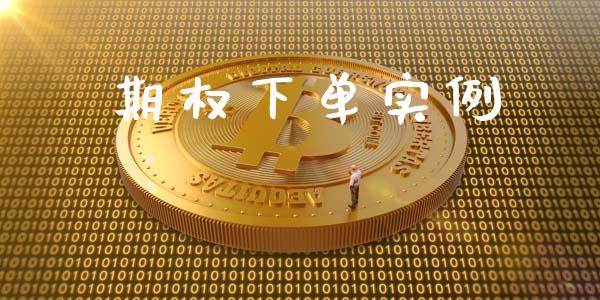 期权下单实例_https://wap.yjjixie.cn_保险理财_第1张