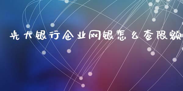 光大银行企业网银怎么查限额_https://wap.yjjixie.cn_保险理财_第1张