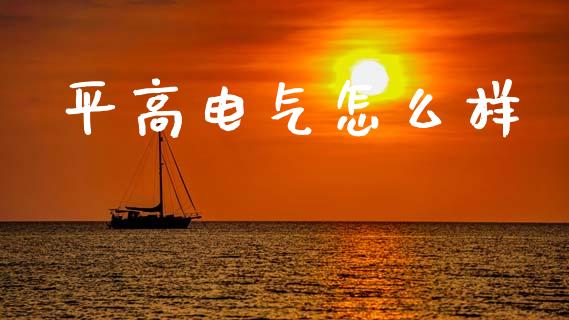平高电气怎么样_https://wap.yjjixie.cn_保险理财_第1张
