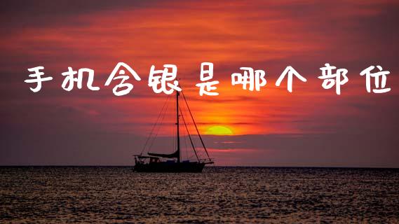 手机含银是哪个部位_https://wap.yjjixie.cn_商业资讯_第1张