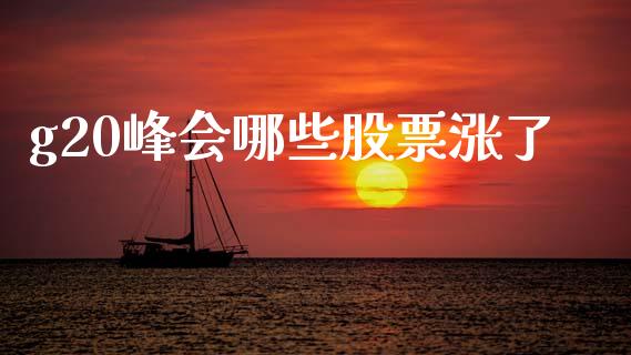 g20峰会哪些股票涨了_https://wap.yjjixie.cn_保险理财_第1张