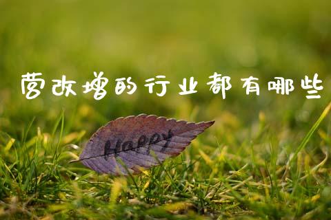 营改增的行业都有哪些_https://wap.yjjixie.cn_保险理财_第1张