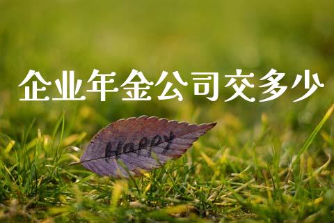 企业年金公司交多少_https://wap.yjjixie.cn_港股行情_第1张