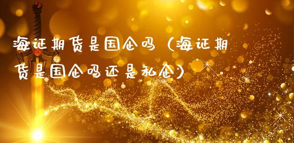 海证期货是国企吗（海证期货是国企吗还是私企）_https://wap.yjjixie.cn_证券市场_第1张
