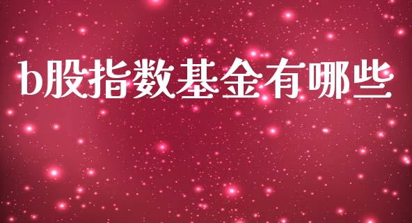 b股指数基金有哪些_https://wap.yjjixie.cn_保险理财_第1张