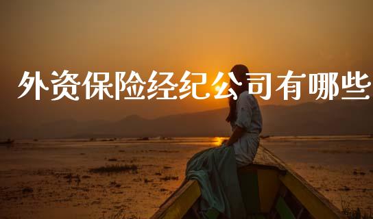 外资保险经纪公司有哪些_https://wap.yjjixie.cn_证券市场_第1张