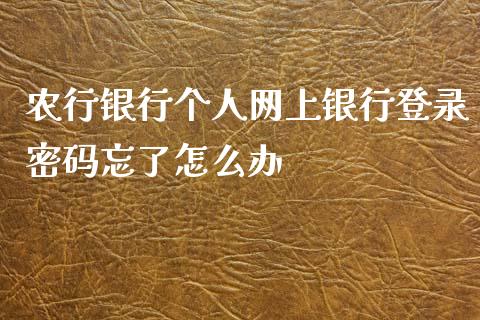 农行银行个人网上银行登录密码忘了怎么办_https://wap.yjjixie.cn_保险理财_第1张
