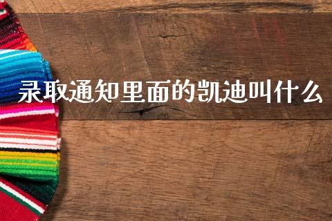 录取通知里面的凯迪叫什么_https://wap.yjjixie.cn_港股行情_第1张
