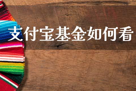 支付宝基金如何看_https://wap.yjjixie.cn_保险理财_第1张
