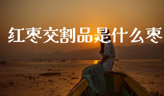 红枣交割品是什么枣_https://wap.yjjixie.cn_港股行情_第1张