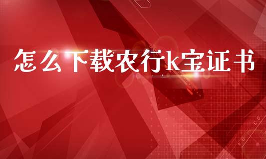 怎么下载农行k宝证书_https://wap.yjjixie.cn_港股行情_第1张
