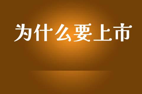 为什么要上市_https://wap.yjjixie.cn_商业资讯_第1张