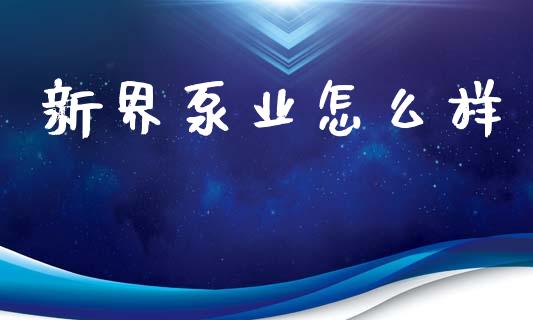 新界泵业怎么样_https://wap.yjjixie.cn_港股行情_第1张