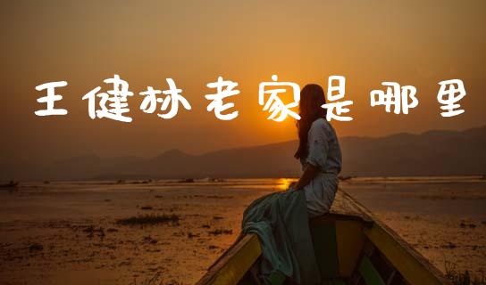 王健林老家是哪里_https://wap.yjjixie.cn_商业资讯_第1张