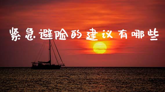 紧急避险的建议有哪些_https://wap.yjjixie.cn_商业资讯_第1张