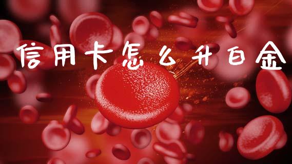 信用卡怎么升白金_https://wap.yjjixie.cn_证券市场_第1张