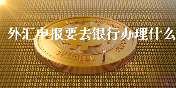 外汇申报要去银行办理什么_https://wap.yjjixie.cn_保险理财_第1张