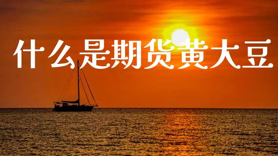 什么是期货黄大豆_https://wap.yjjixie.cn_港股行情_第1张